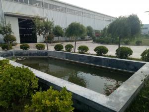 View01